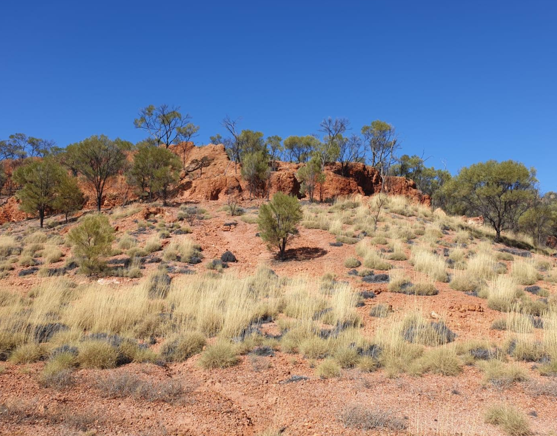 Boulder Opal County in Sandstone Mesa hills covered with Spinifex grass