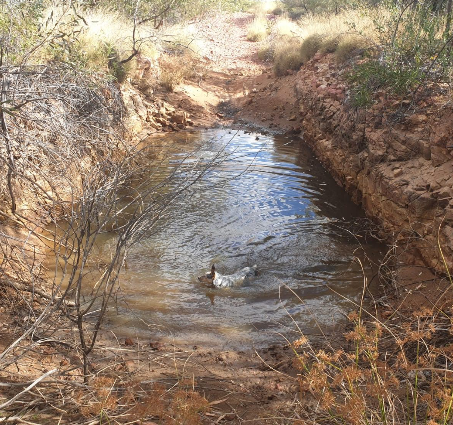 Australian Outback Queensland waterhole Opal Mining trip 